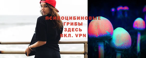 гидропоника Лагань