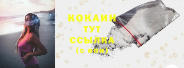 соль ск Ладушкин
