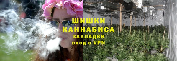 соль ск Ладушкин
