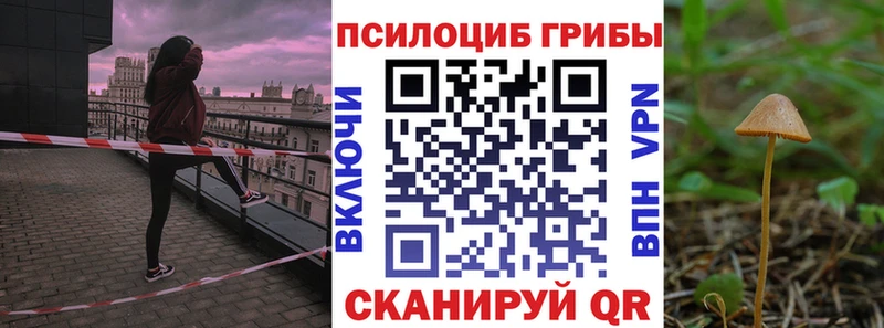 Галлюциногенные грибы ЛСД  KRAKEN ONION  Шилка 